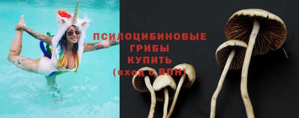 шишки Алексин