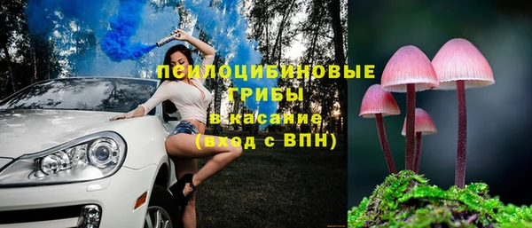 шишки Алексин