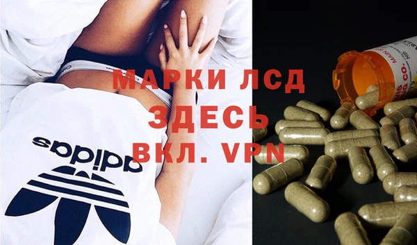 шишки Алексин